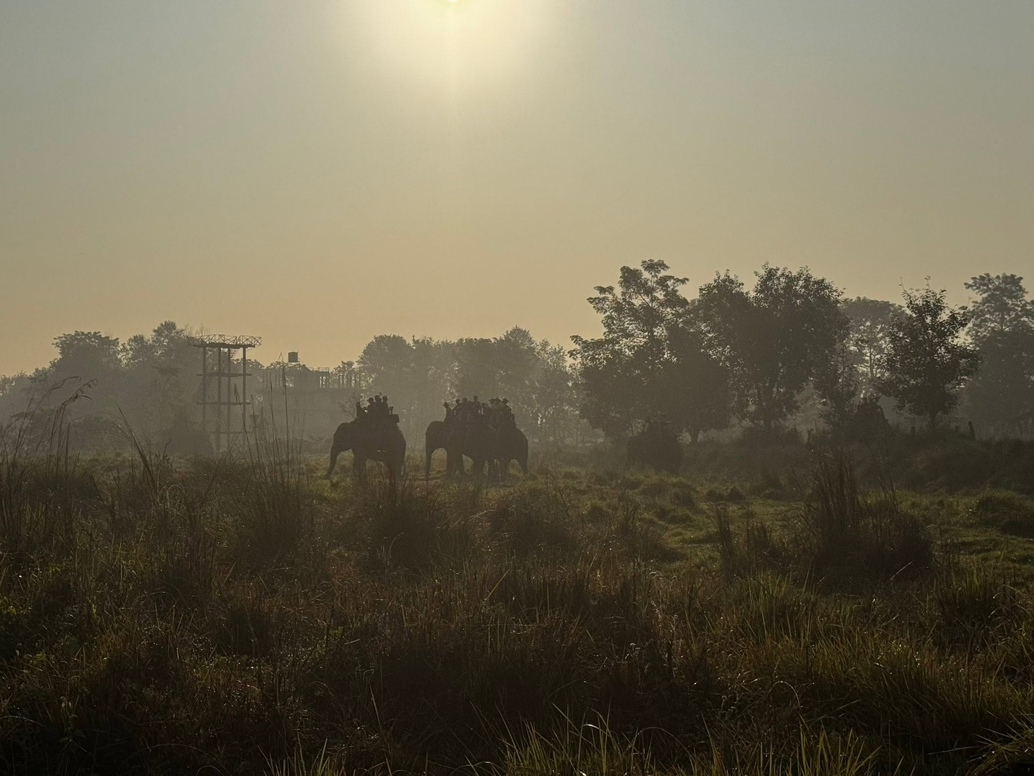 chitwan-jungle-sadari-adventure-with-lhasso-adventure-john-psg.jpg 1