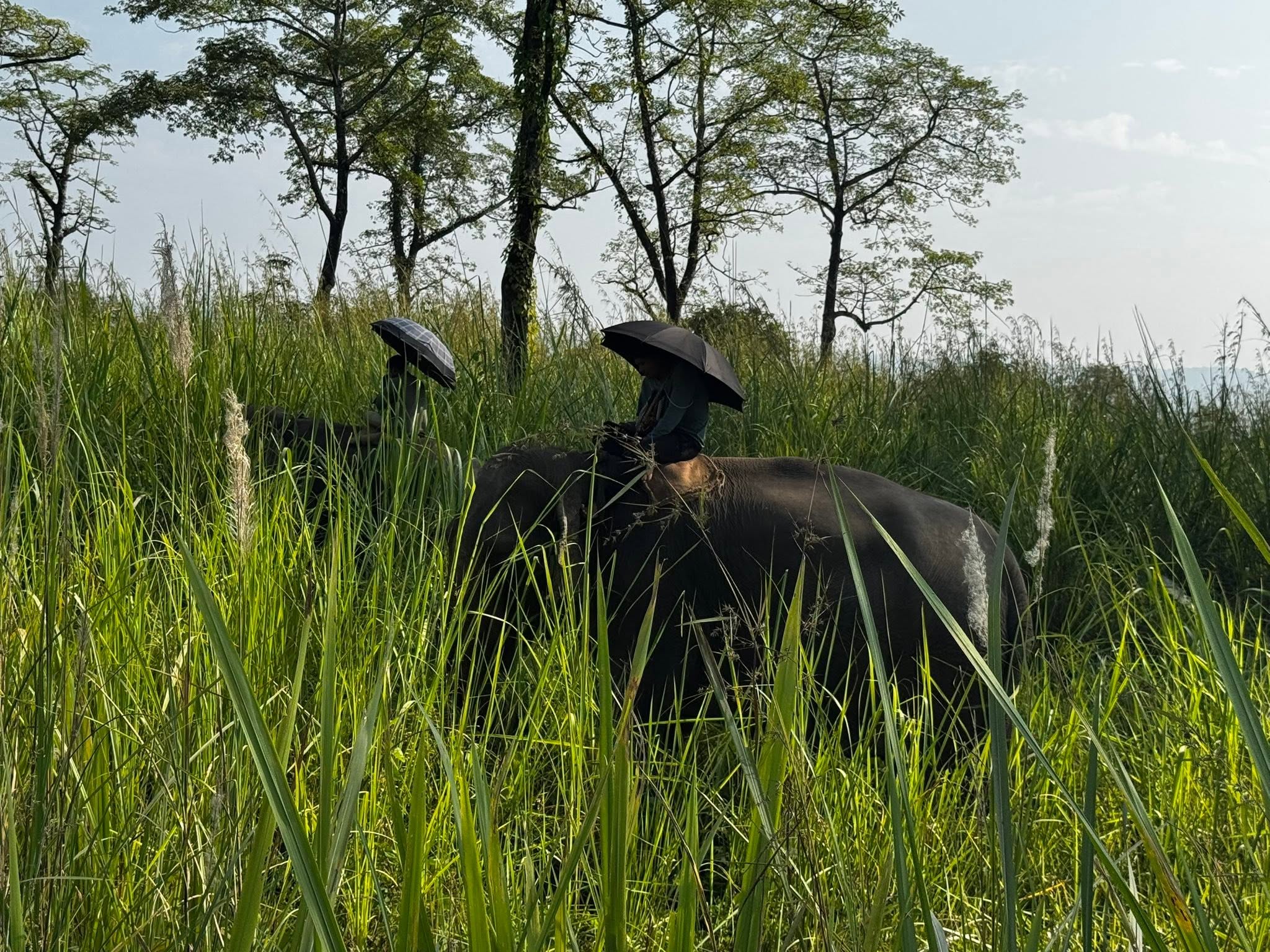 chitwan-jungle-sadari-adventure-with-lhasso-adventure-john-psg.jpg 4