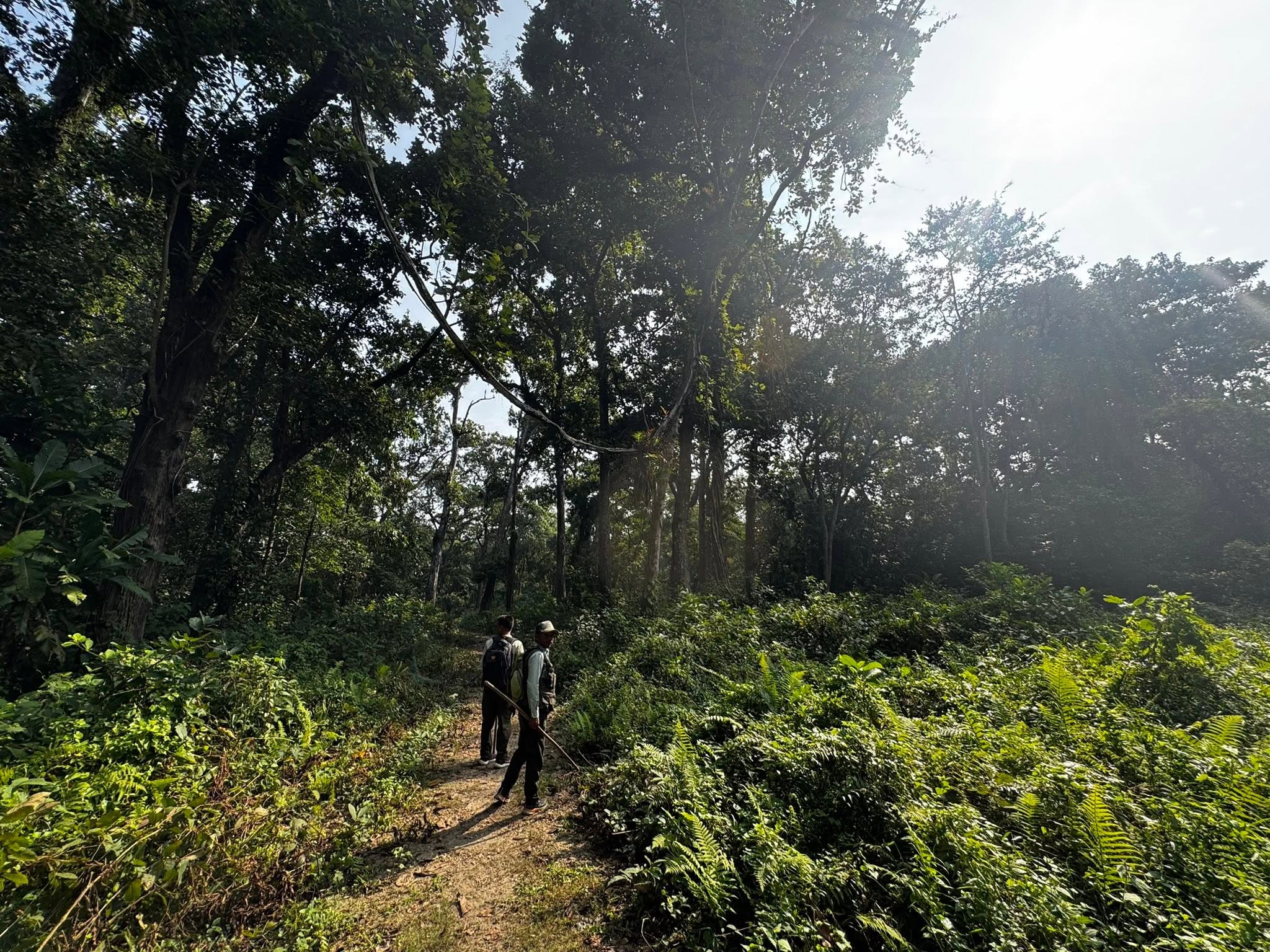 chitwan-jungle-sadari-adventure-with-lhasso-adventure-john-psg.jpg 8