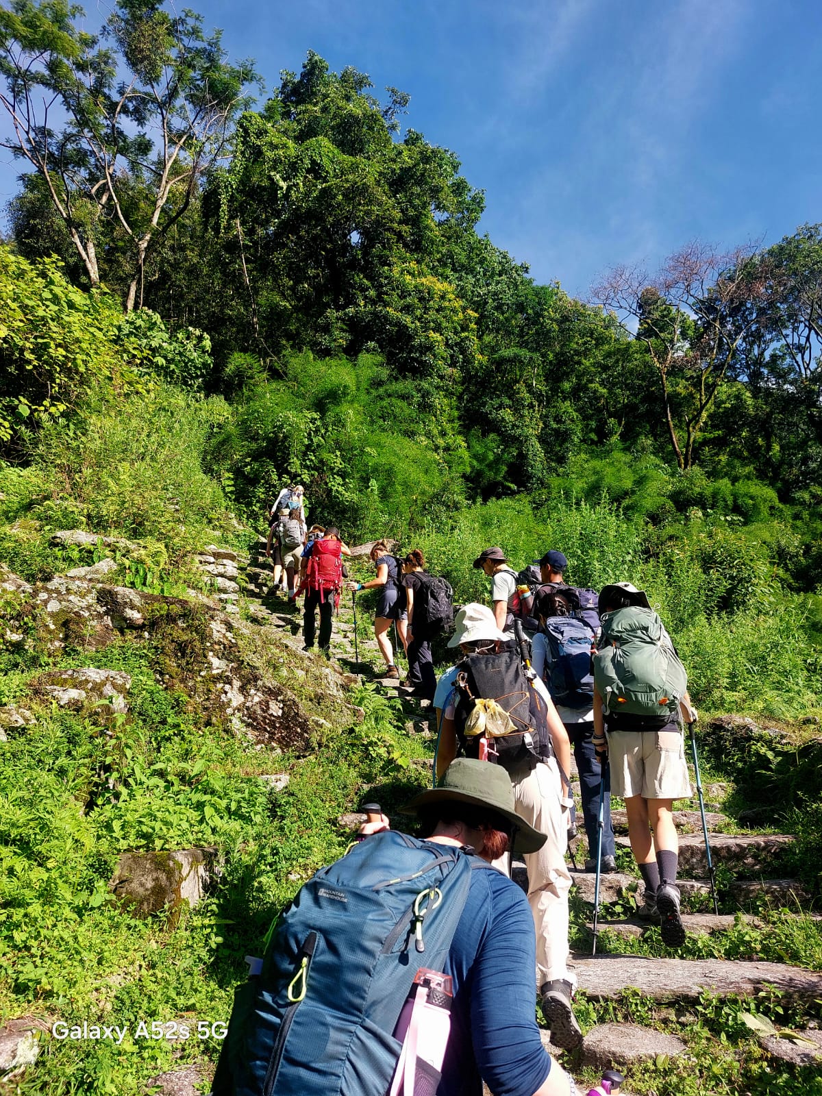 walking toward rest camp from deurali - Mardi Himal Trek Day 3