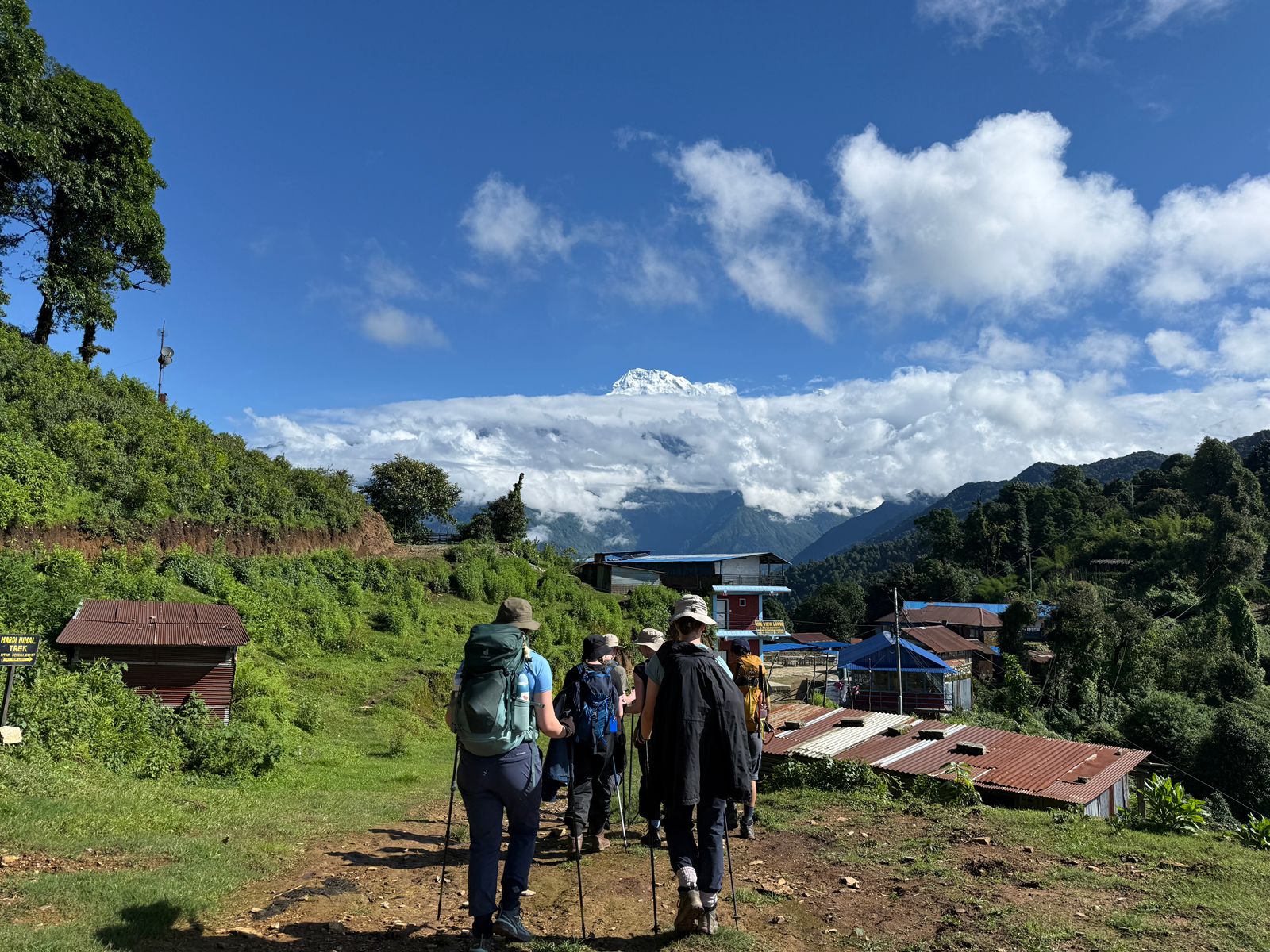 walking toward rest camp from deurali - Mardi Himal Trek Day 3