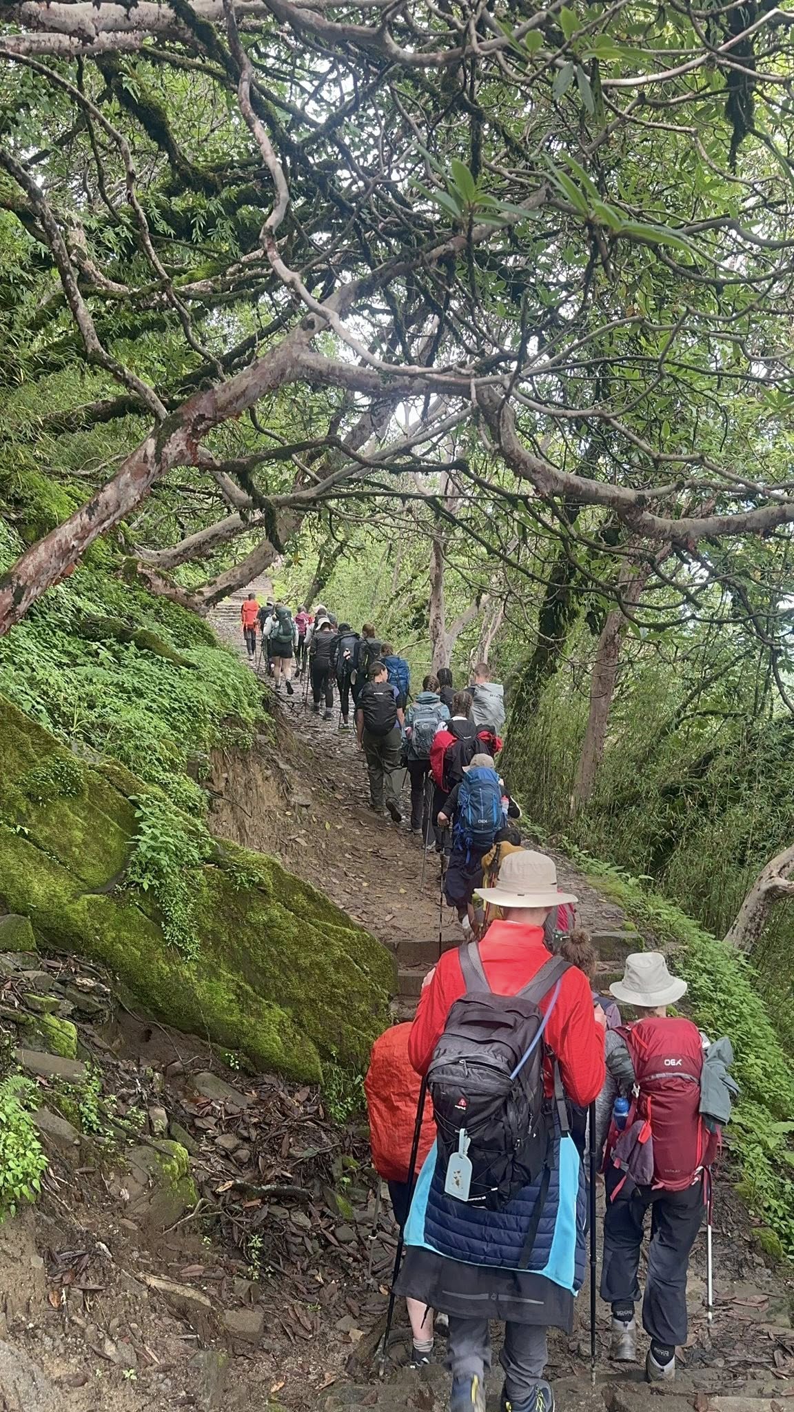 en-route to forest Camp - Mardi Himal Trek
