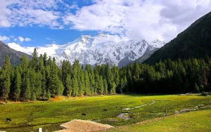 Mount Nanga Parbat