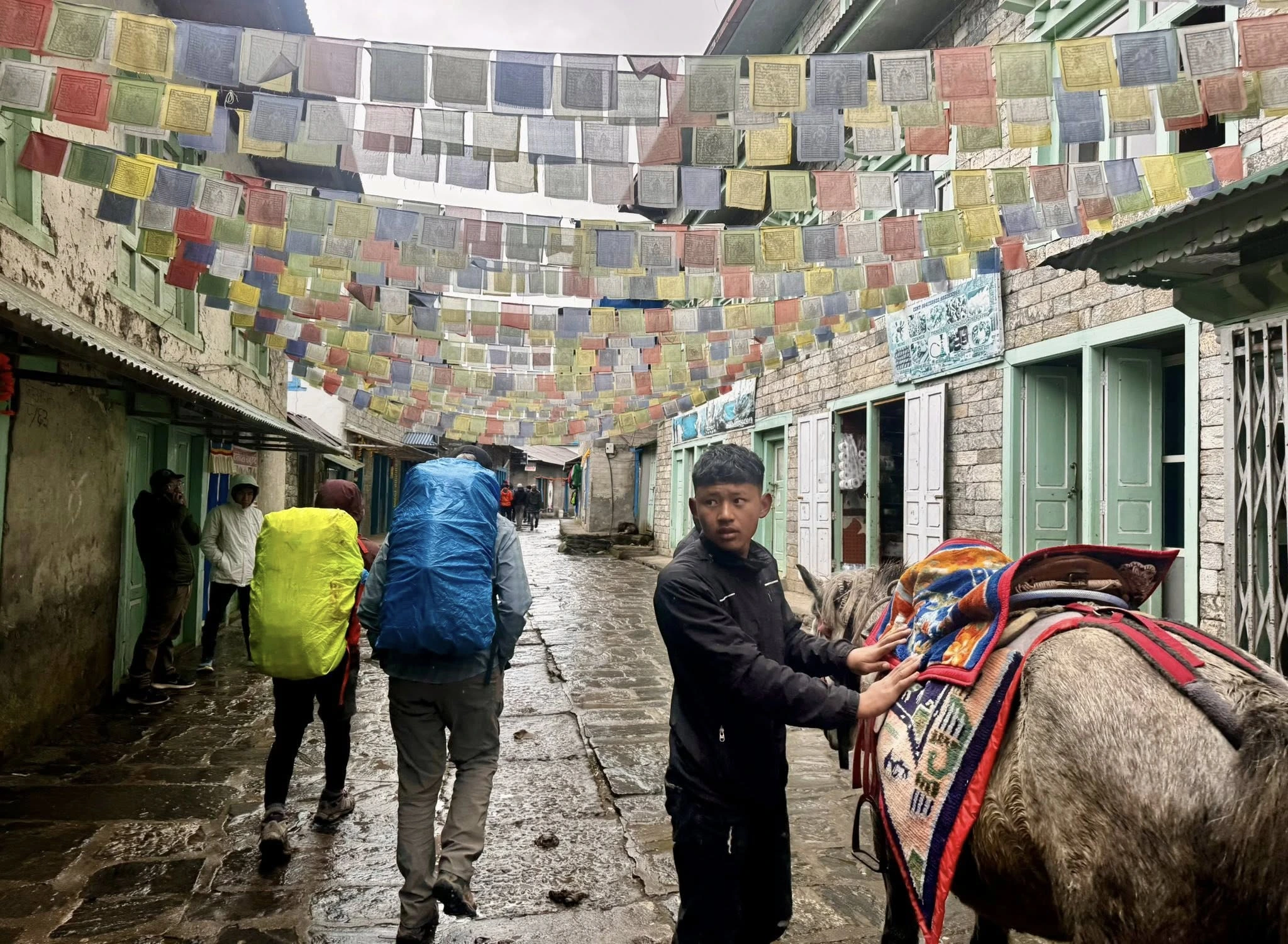 Cultural immersion on overland Everest route: traditional Solukhumbu village