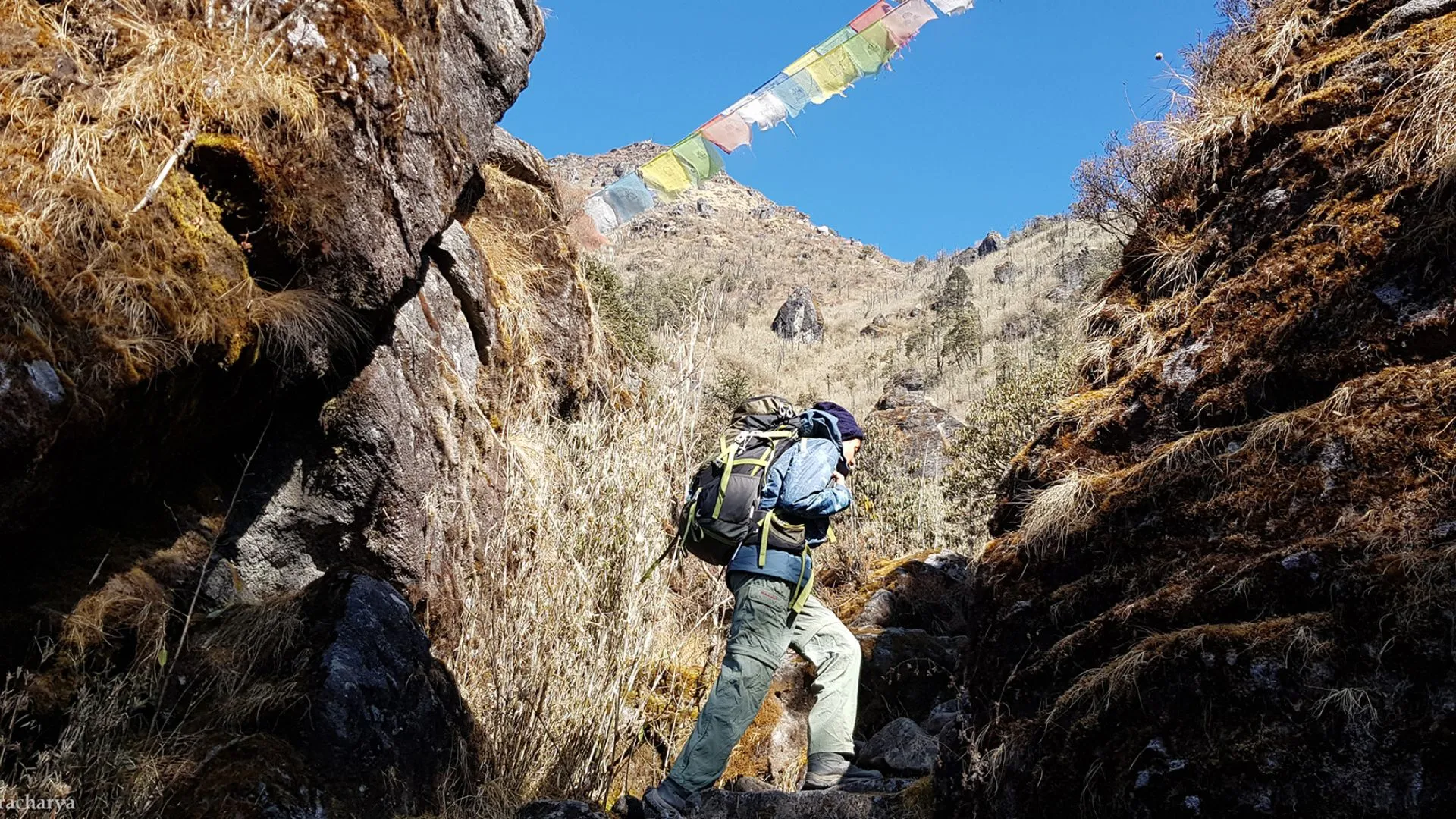best treks in Nepal for beginners
