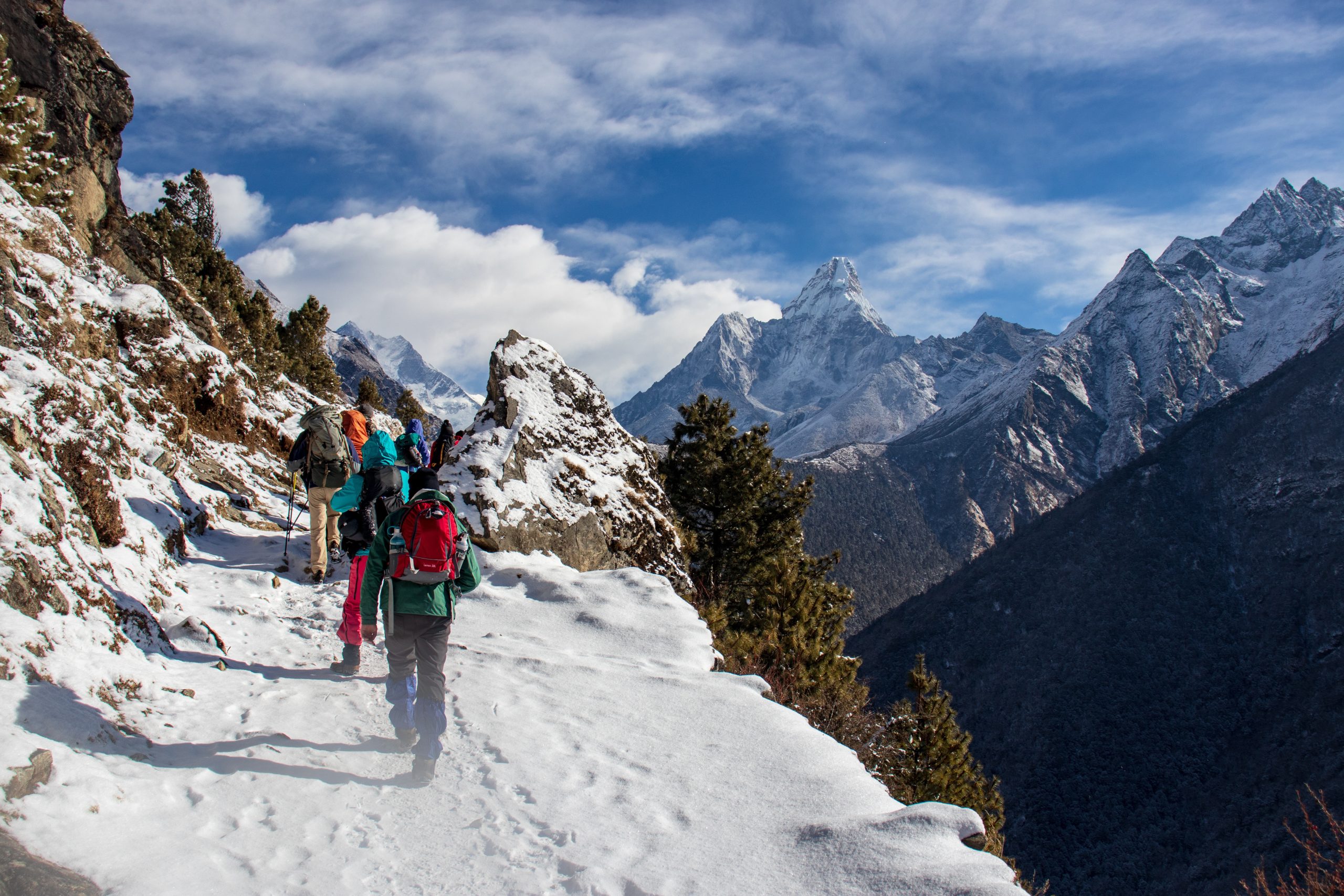 Trekkers Trekking