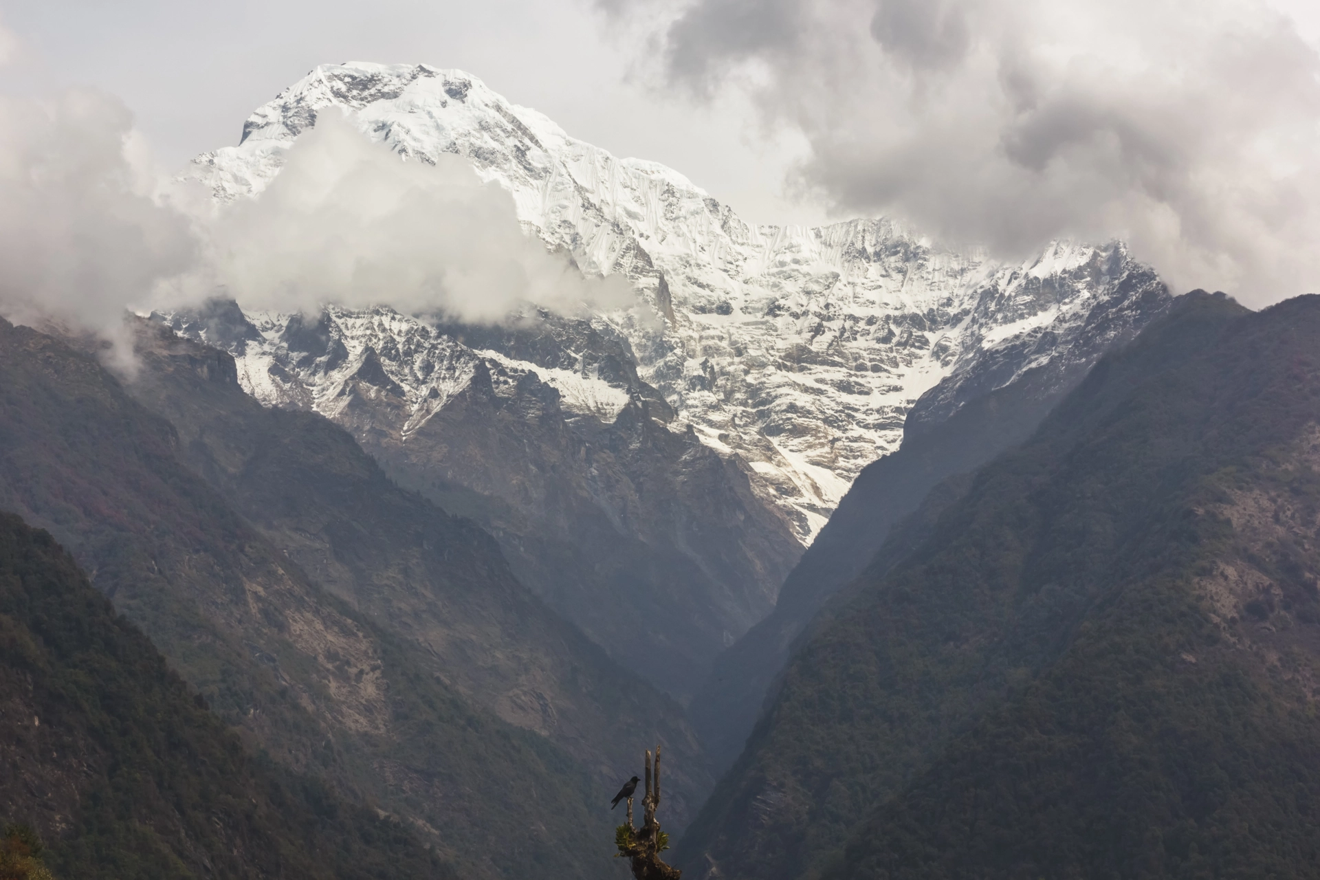 A view of the Annapurna South from a village in Chhomong